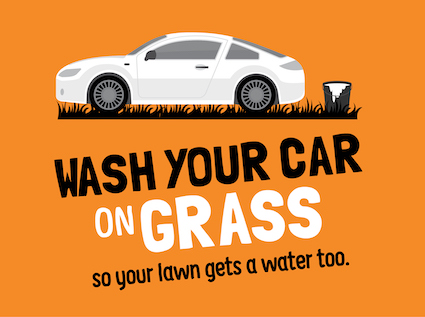 tips wash your car on grass